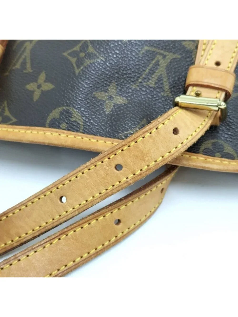 Louis Vuitton Bucket PM Pouch Monogram